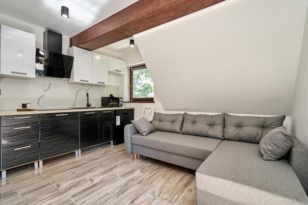 Apartamenty U Kamila Ζακοπάνε Εξωτερικό φωτογραφία